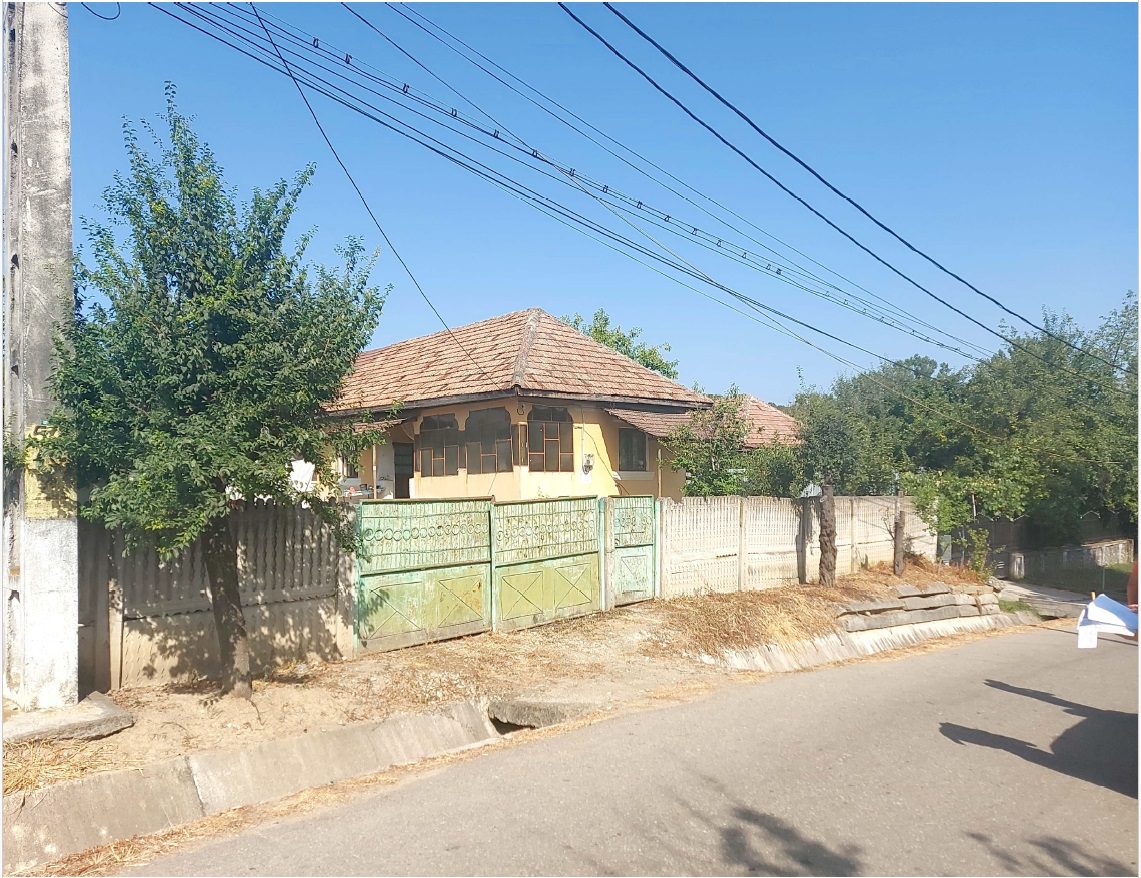 Miniatură 2