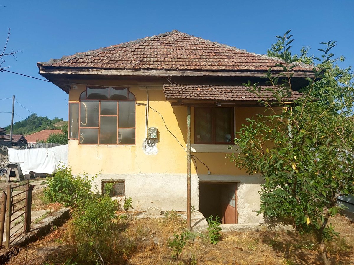 Miniatură 3