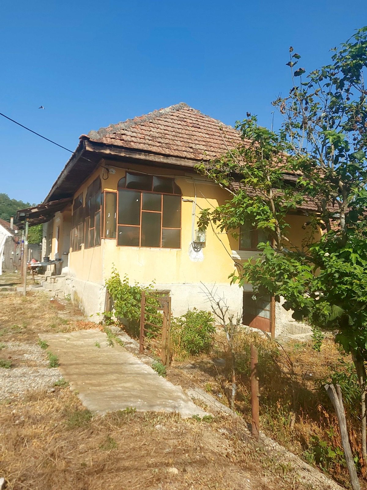 Miniatură 5
