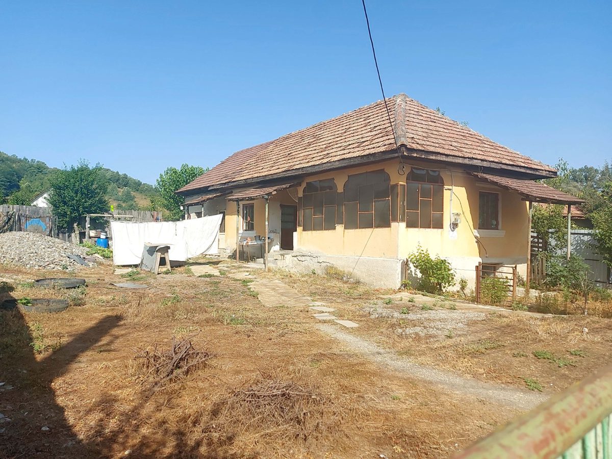 Miniatură 6
