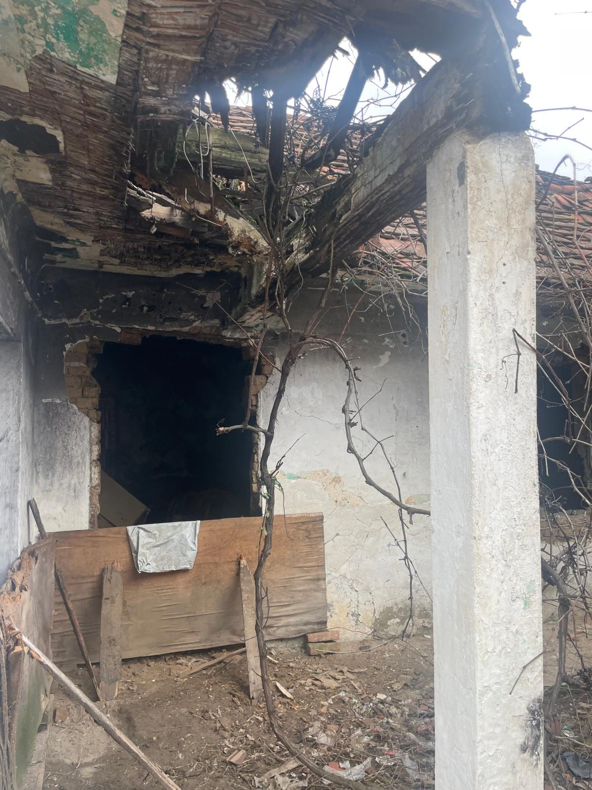 Miniatură 2