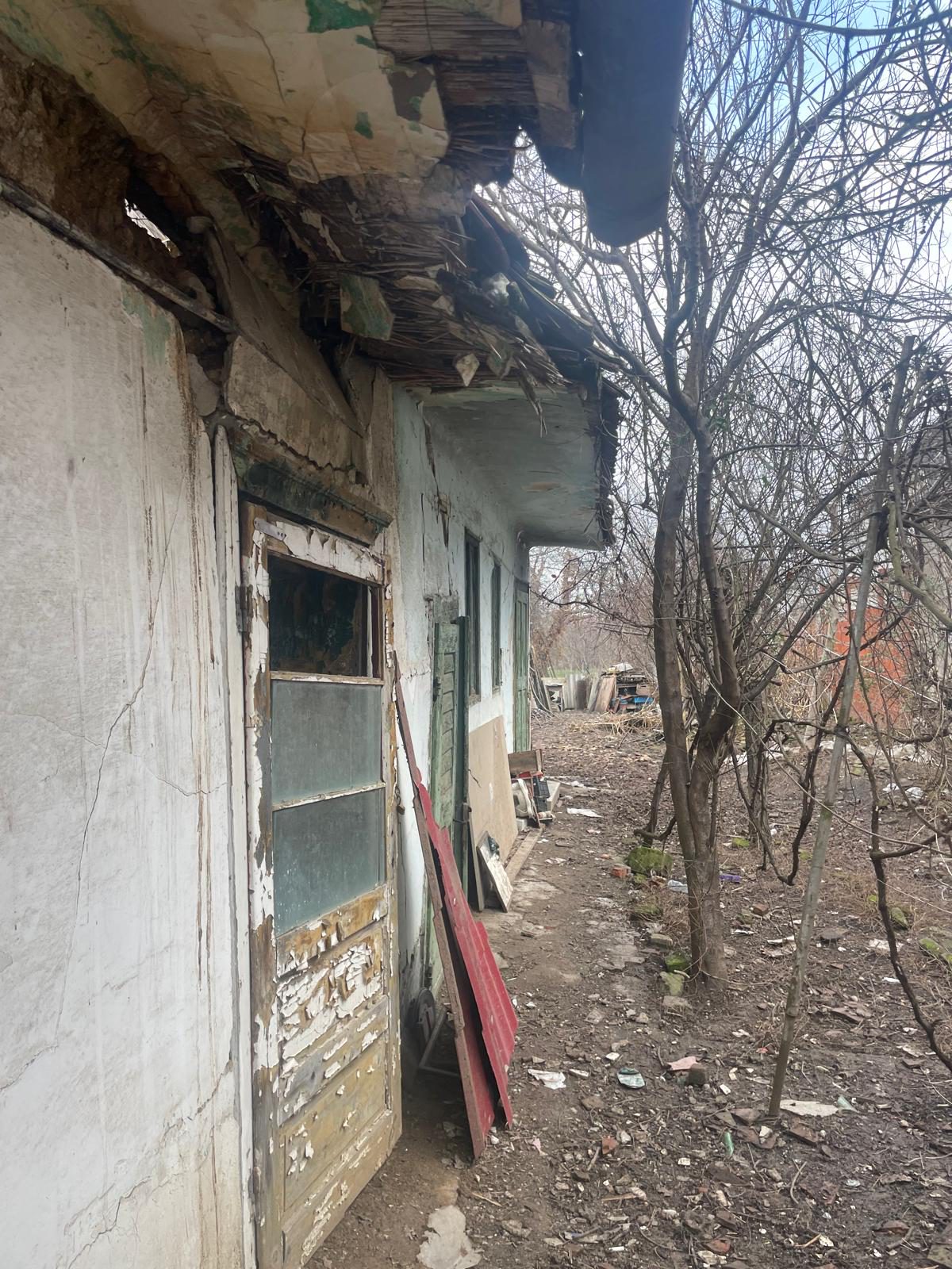 Miniatură 4