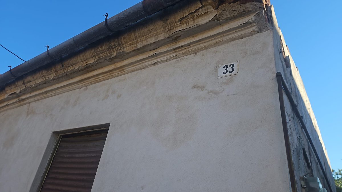 Miniatură 8
