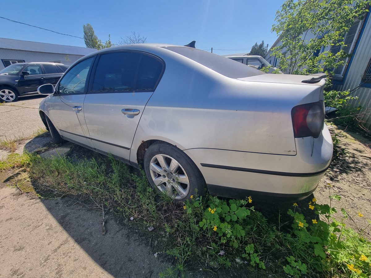 Miniatură 7