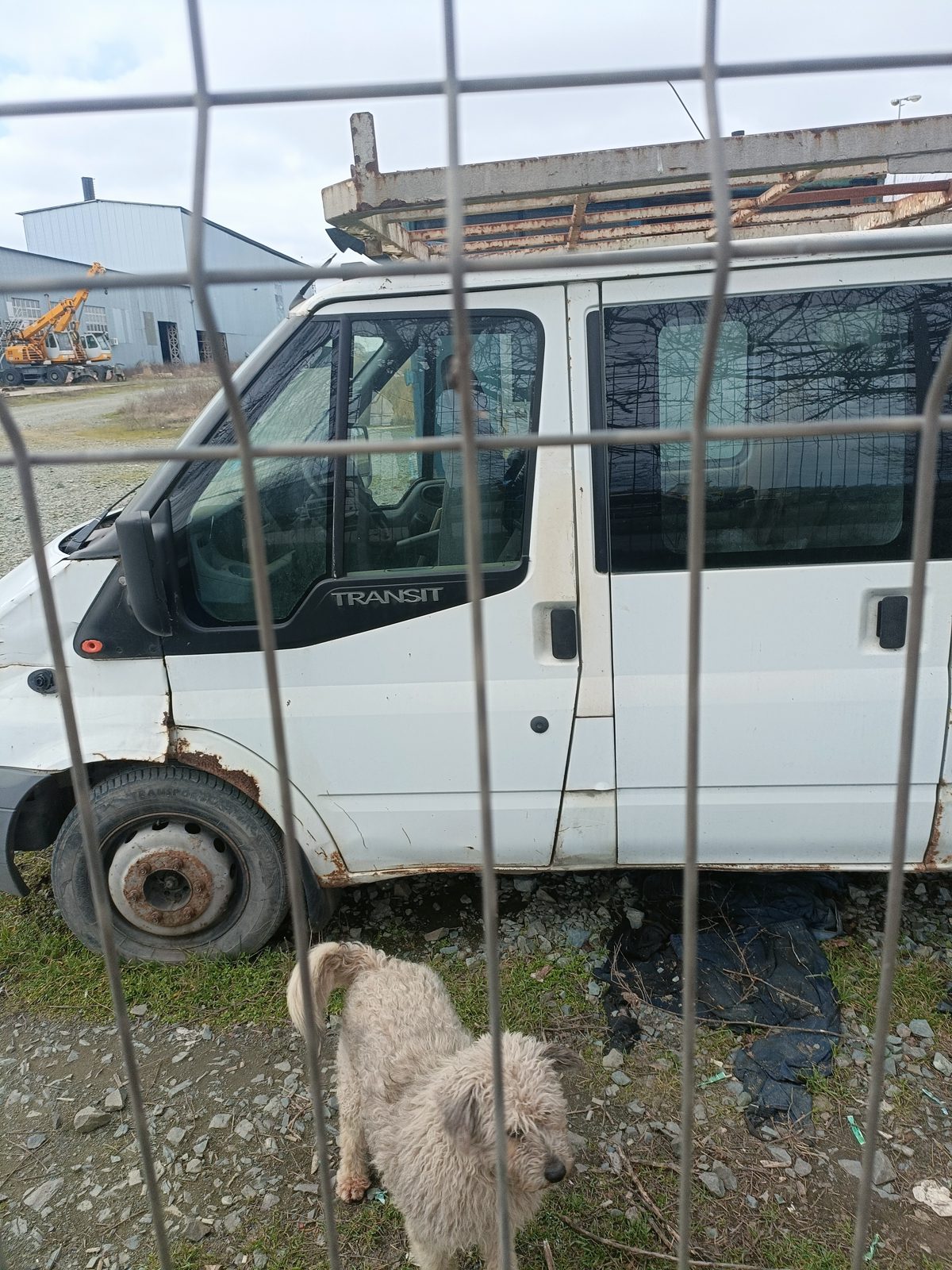 Miniatură 2