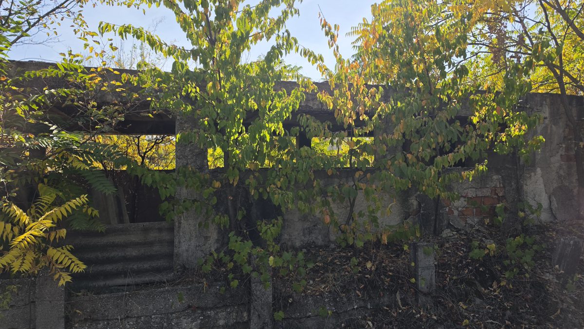 ALTE BUNURI 1