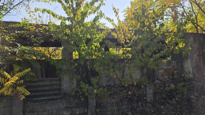 ALTE BUNURI
