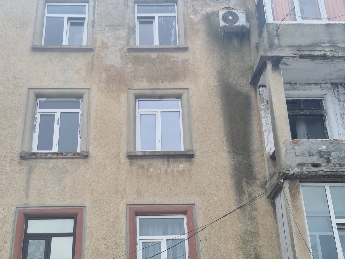 Miniatură 4