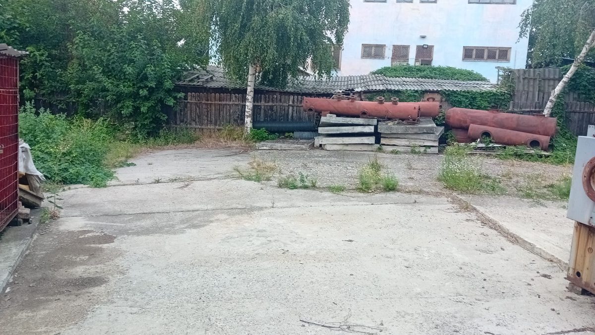 Miniatură 4