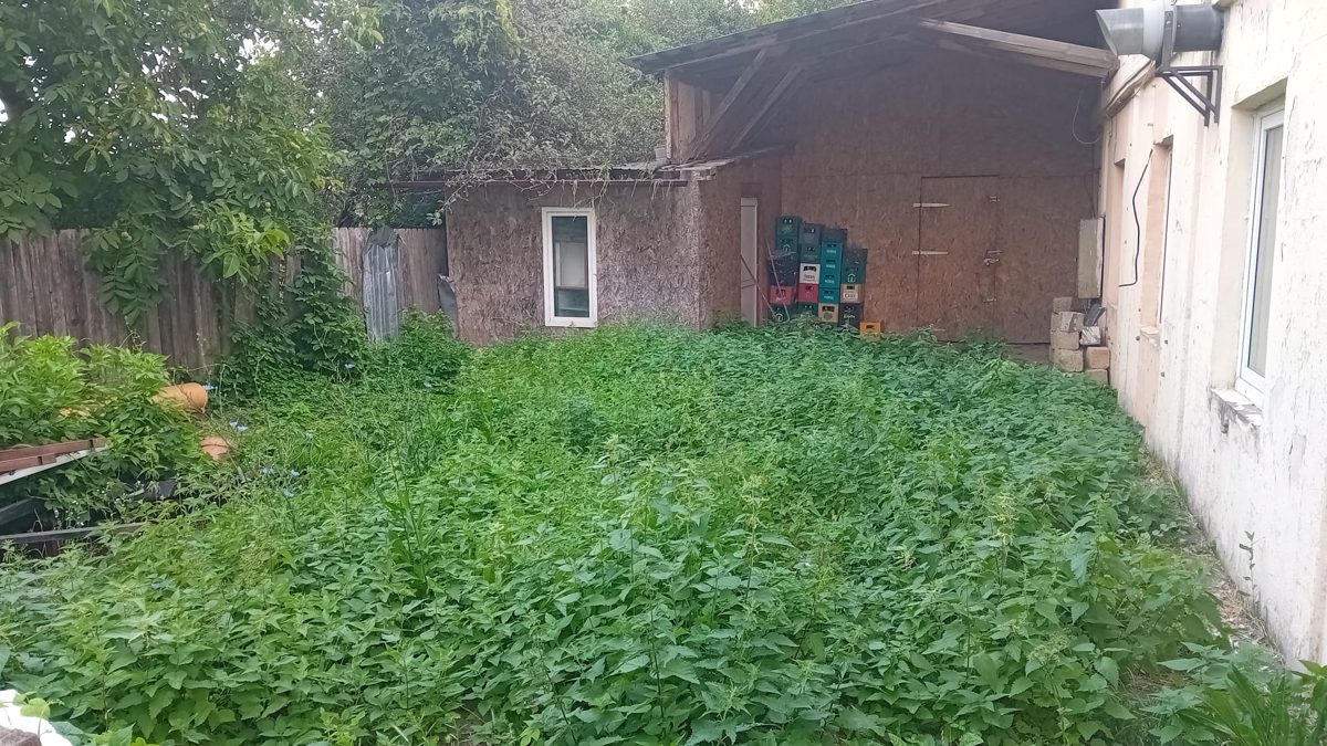 Miniatură 5