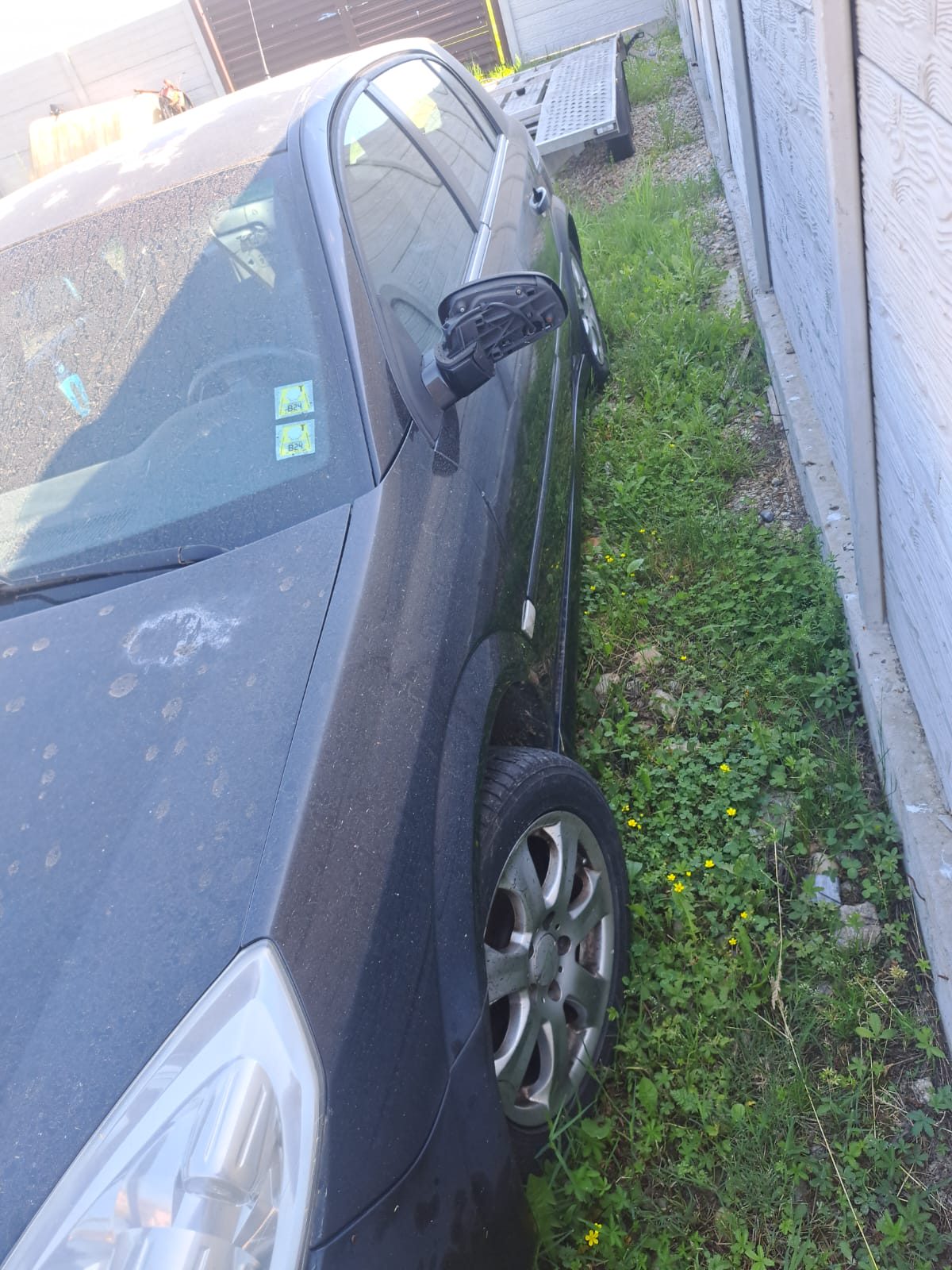 Miniatură 7