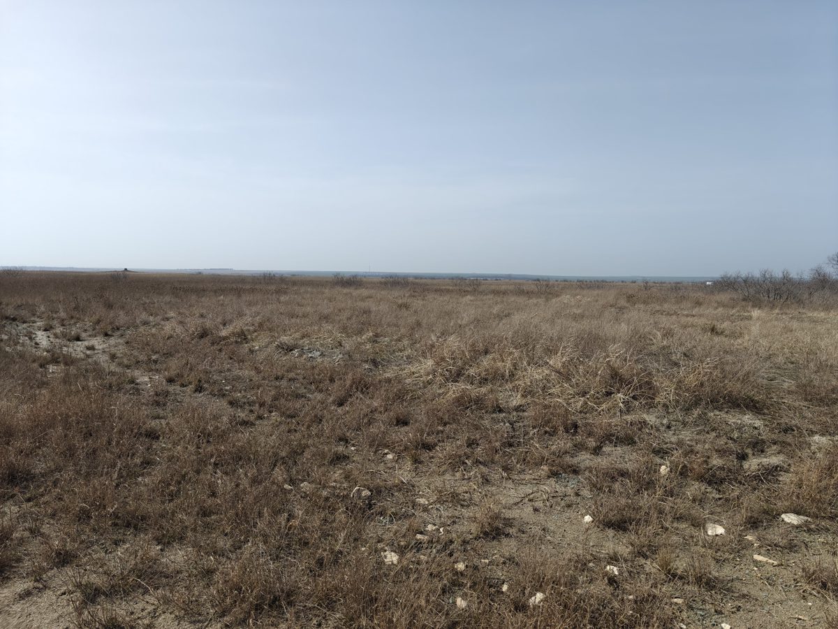 Neproductiv - 1