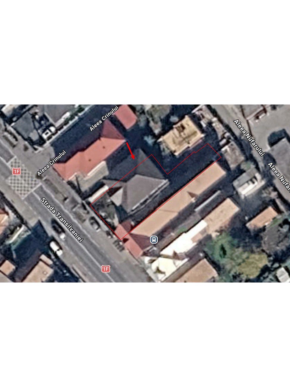 Miniatură 4