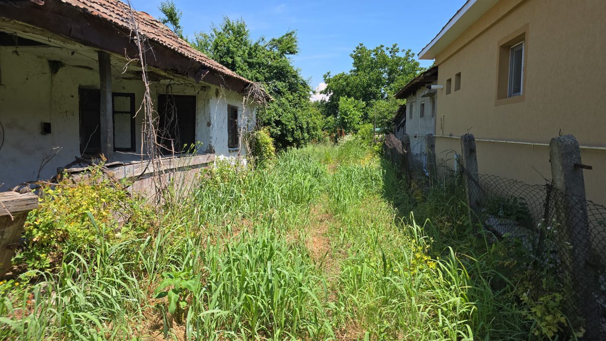 Miniatură 3