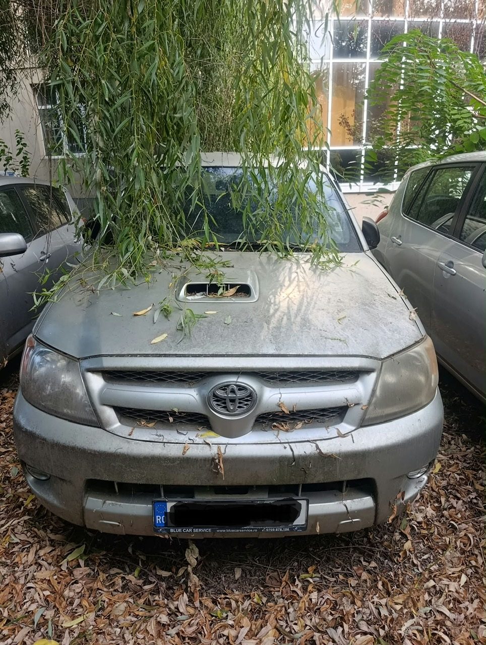 Miniatură 3