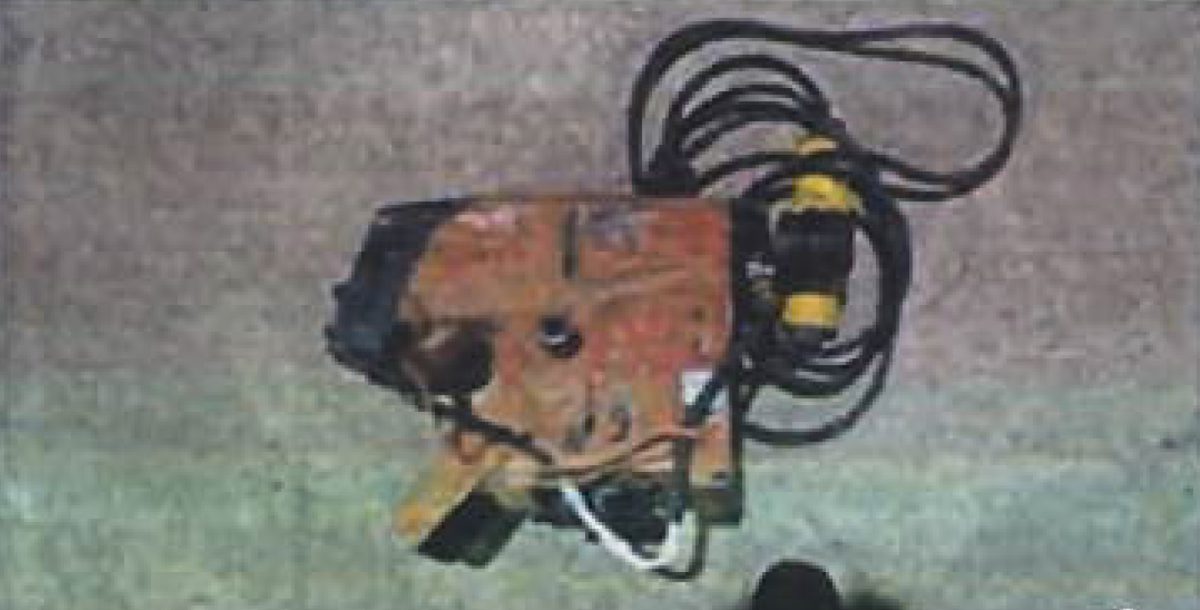 Miniatură 2