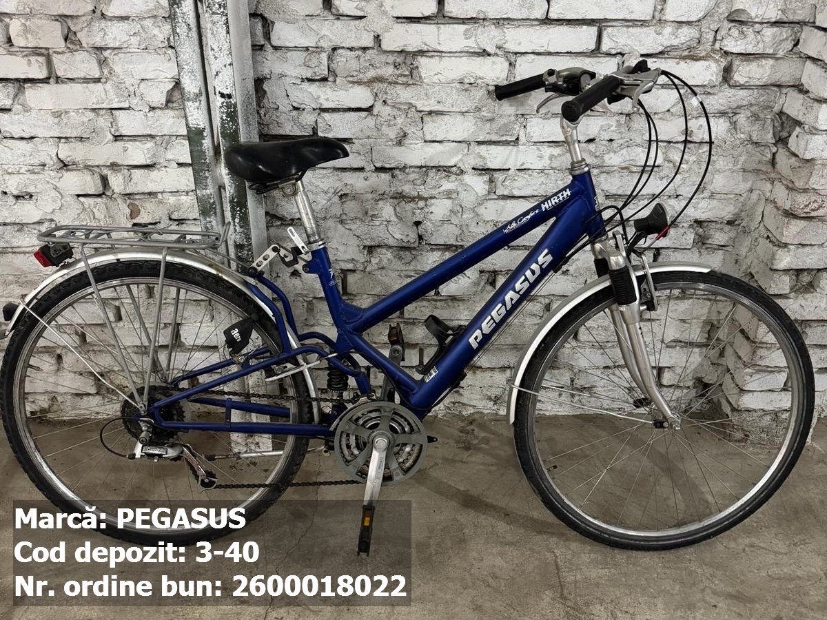 Bicicleta- Pegasus 1