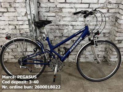 Bicicleta- Pegasus