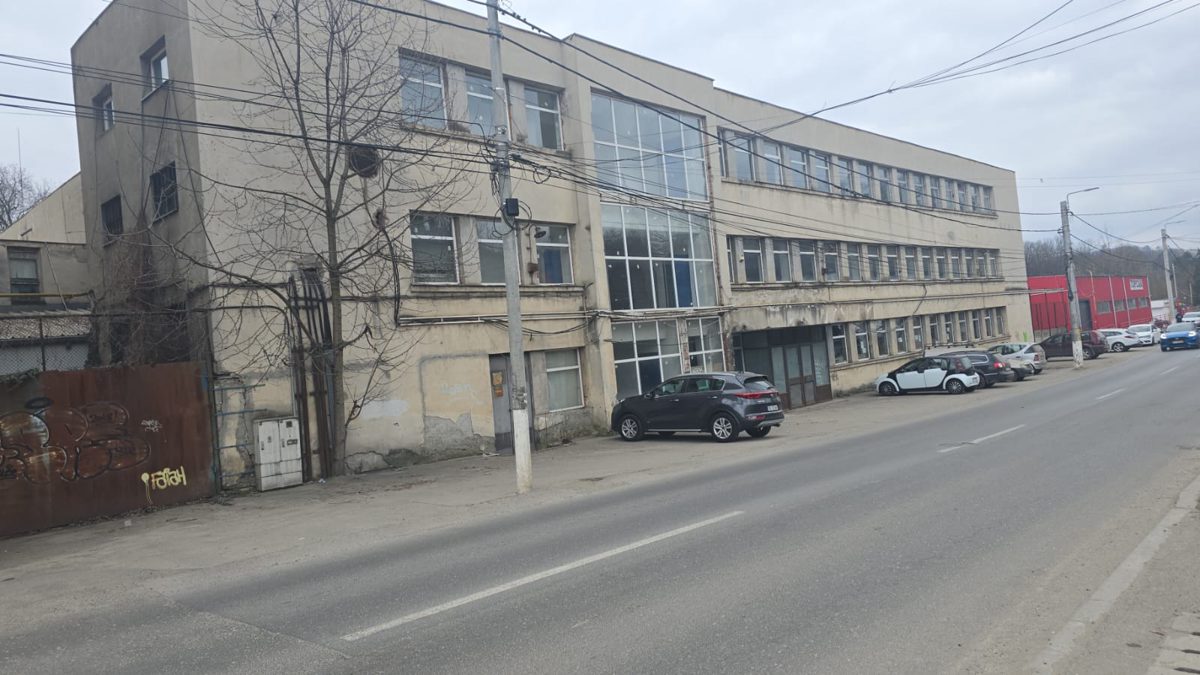 Miniatură 2
