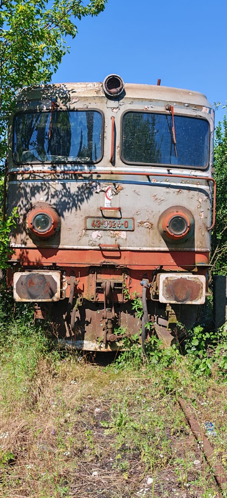 Miniatură 7