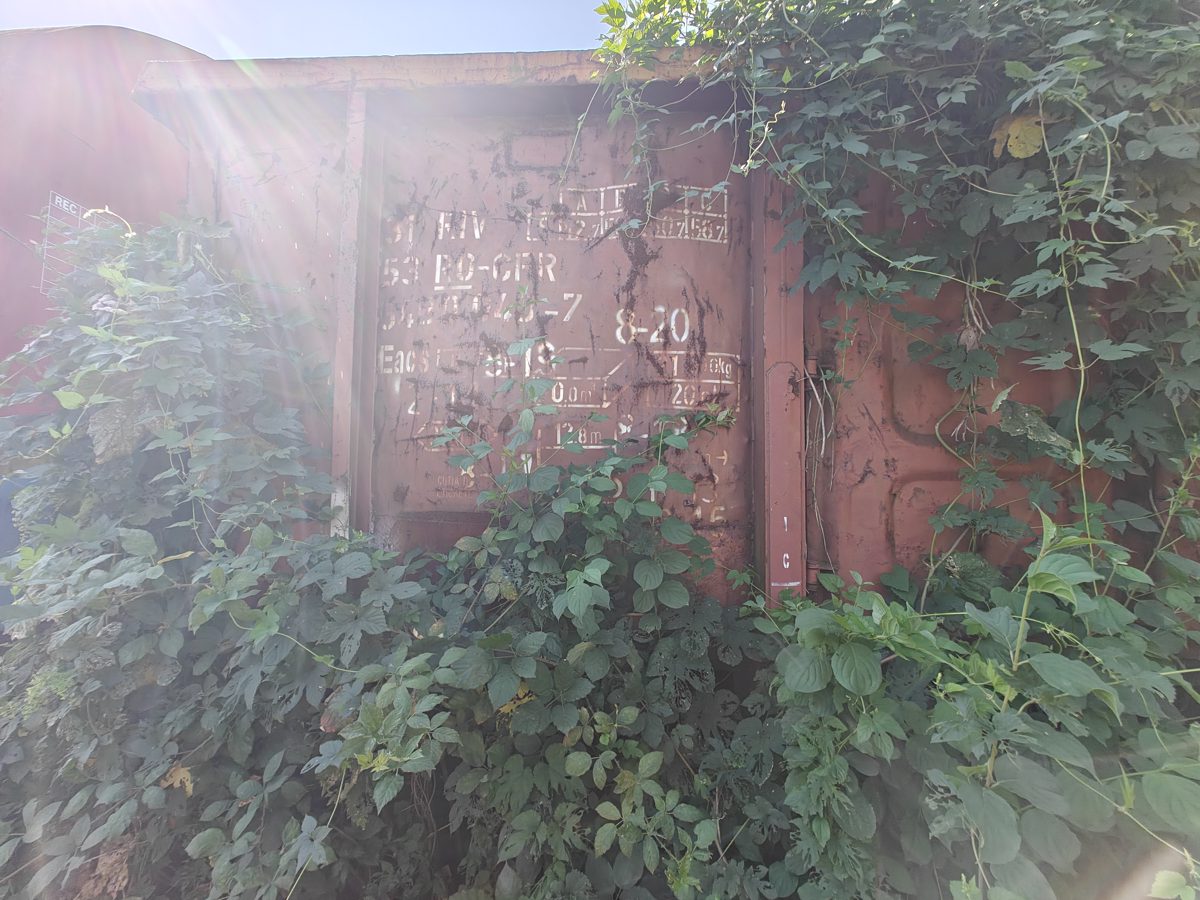 Miniatură 9