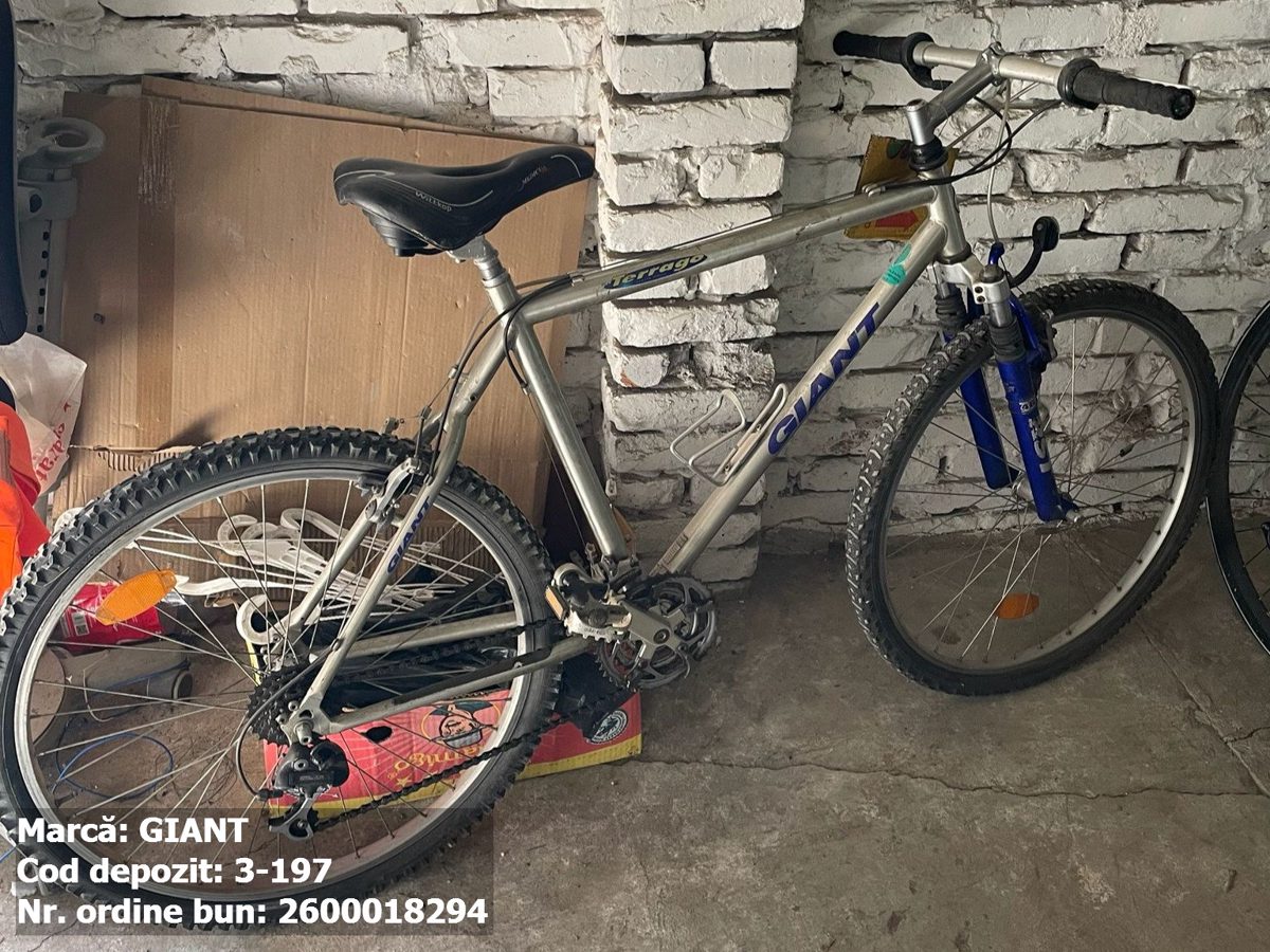 Bicicleta- Giant 1