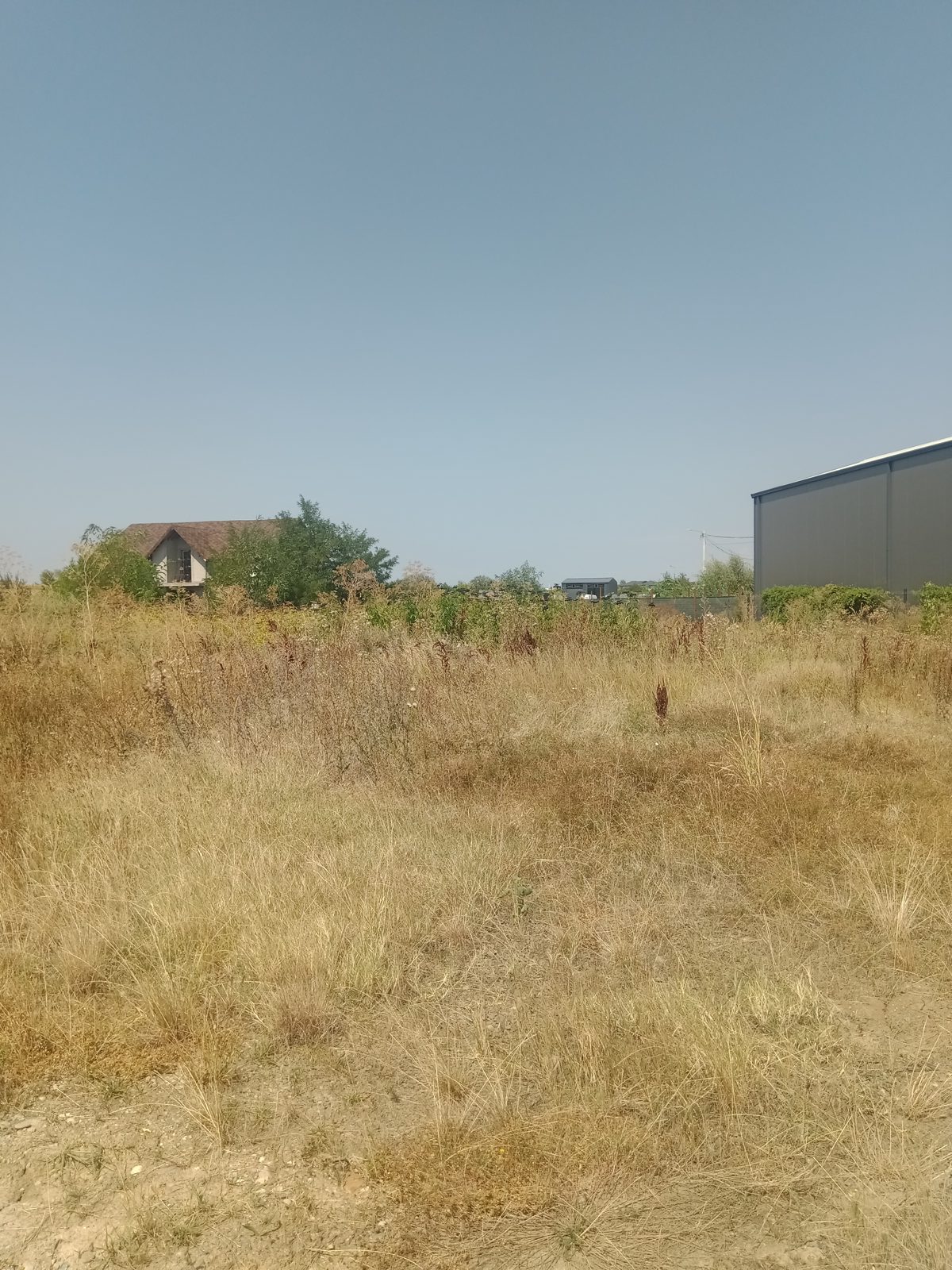 Miniatură 2