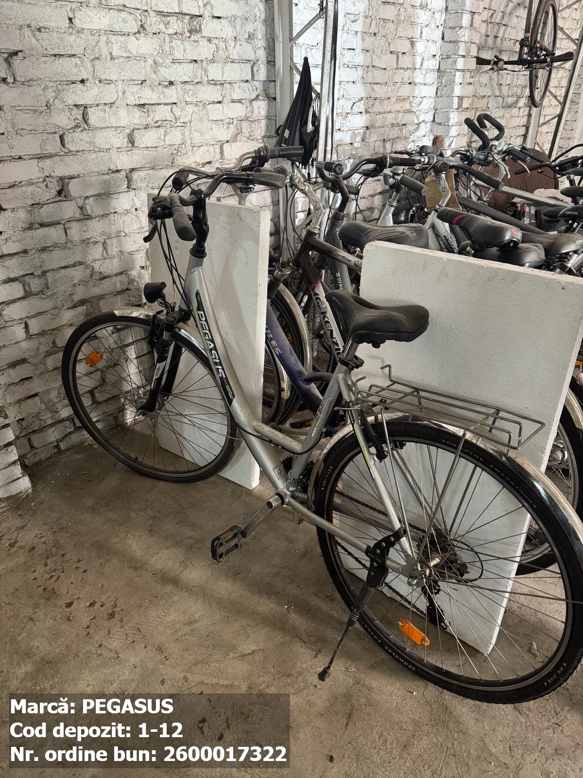 Bicicleta- Pegasus 1
