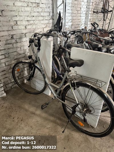 Bicicleta- Pegasus