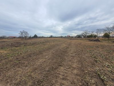 Teren construibil - teren intravilan arabil in suprafata de 819 mp