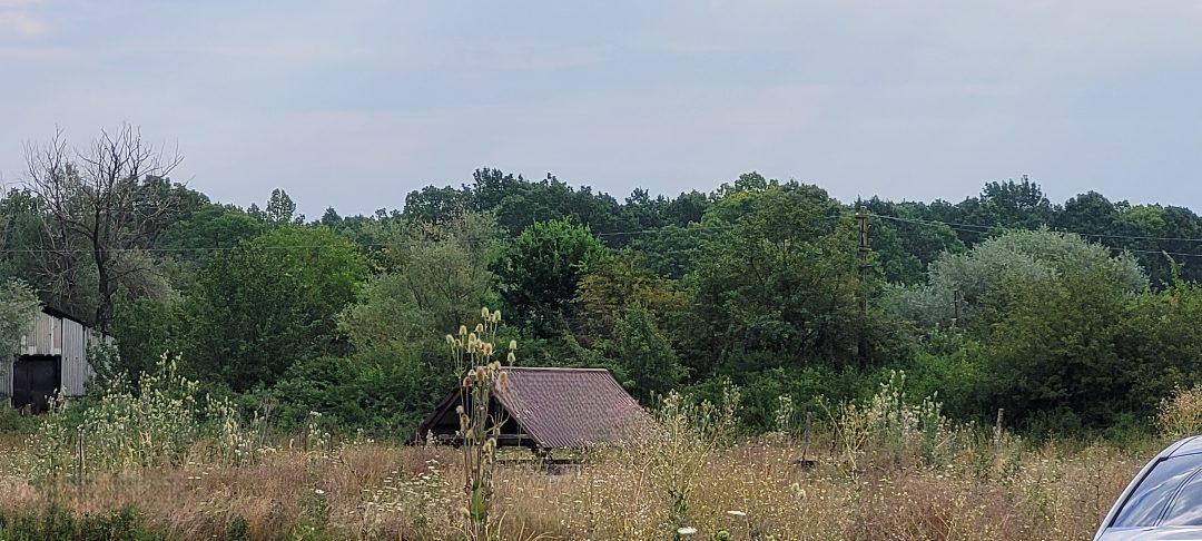 Miniatură 7