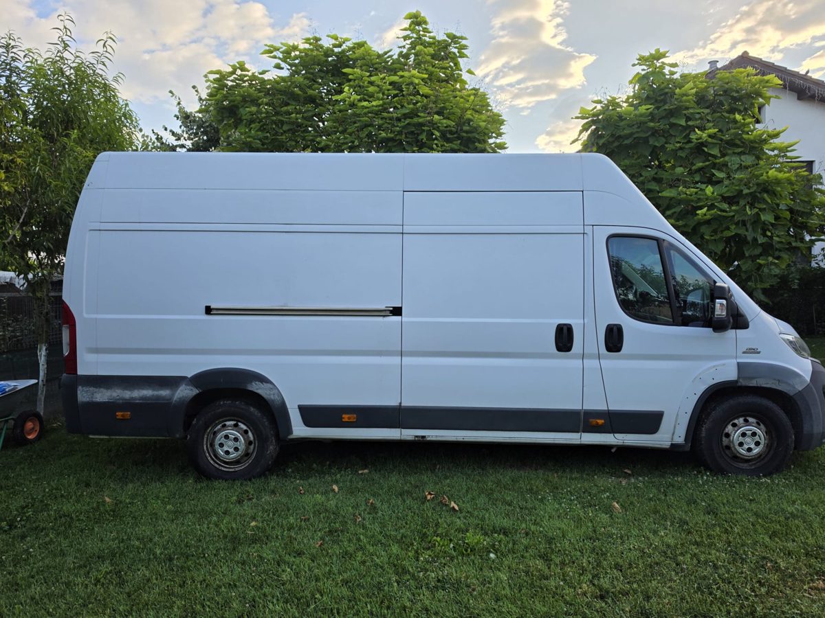 Miniatură 3