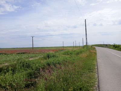 teren extravilan arabil, 725 mp, com. Bordei Verde