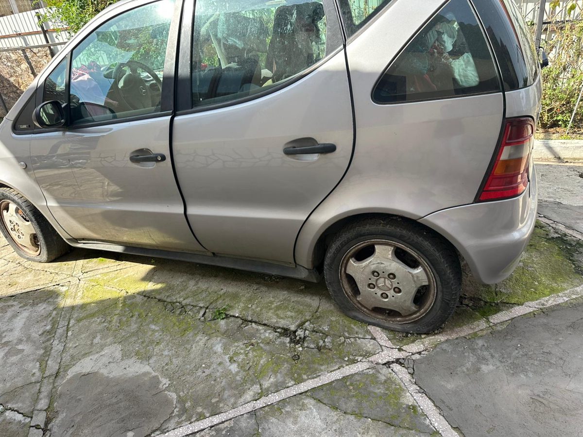 Miniatură 6