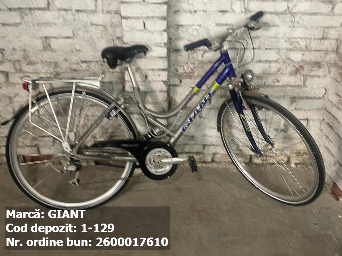 Bicicleta- Giant 1