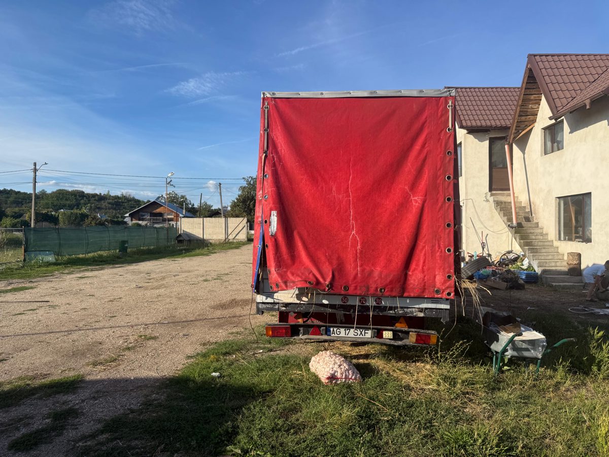 Miniatură 4