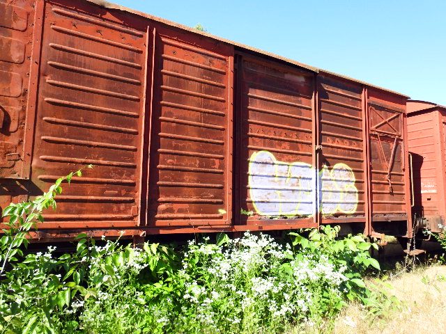 VAGON MARFA GBS 1