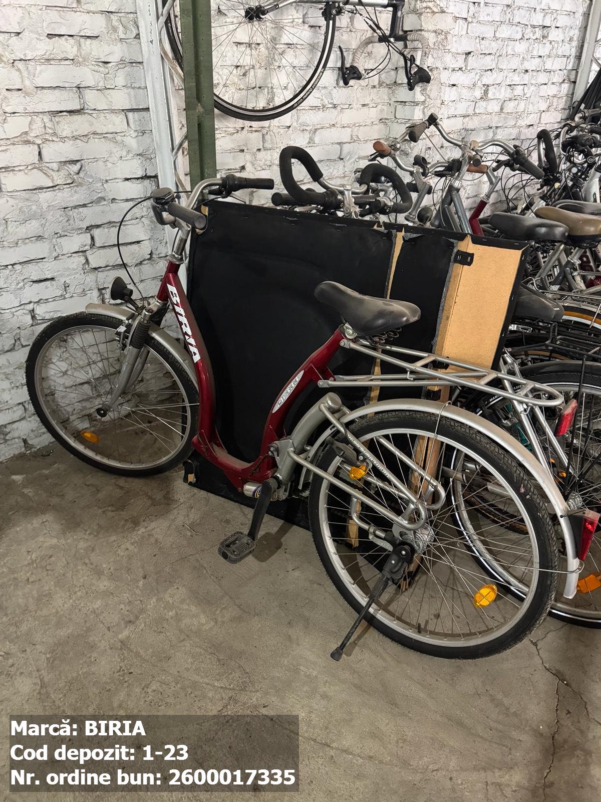 Bicicleta- Biria 1
