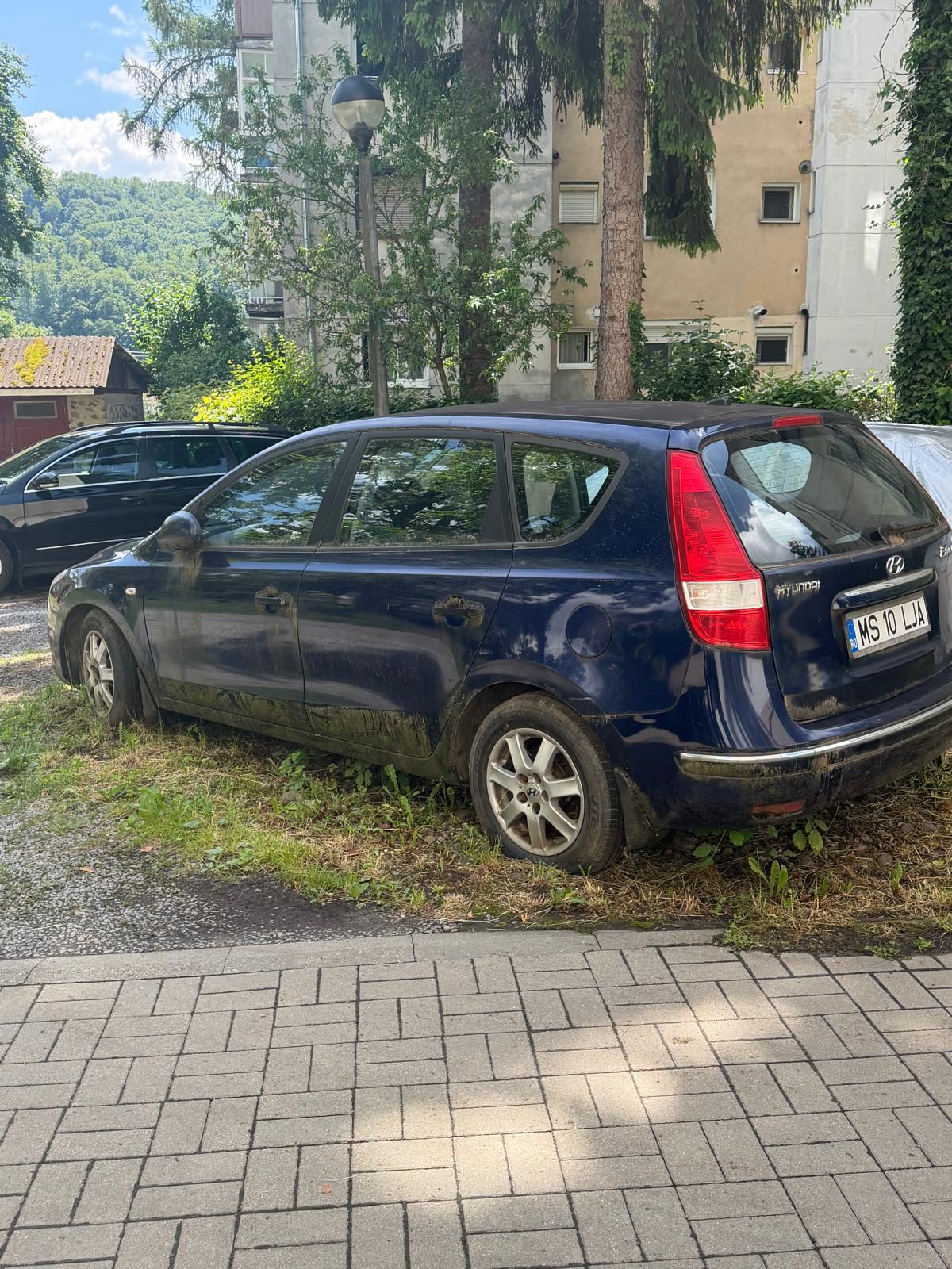 Miniatură 2