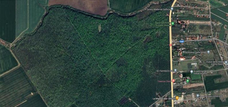 Padure - in suprafata de 5000 MP 1