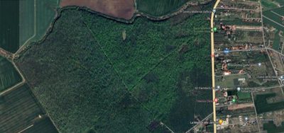 Padure - in suprafata de 5000 MP