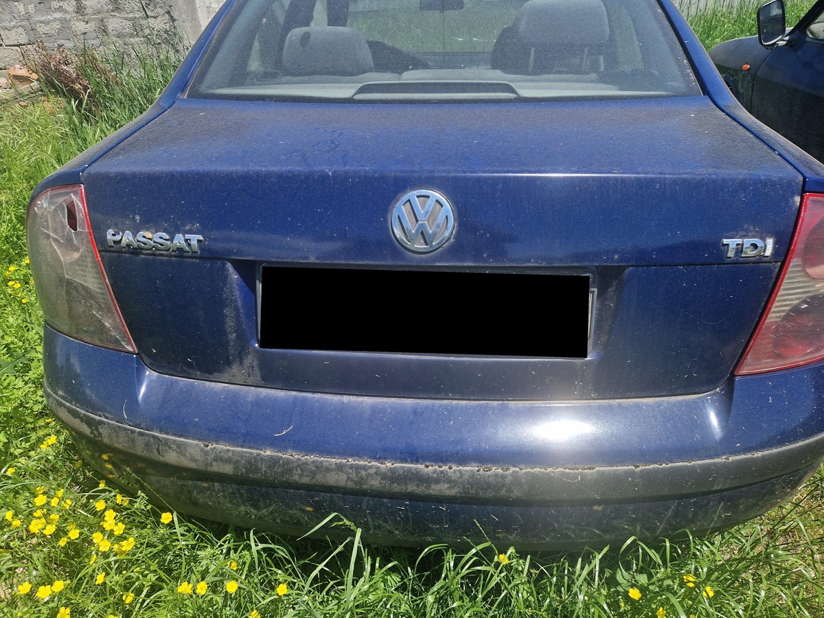 Miniatură 3