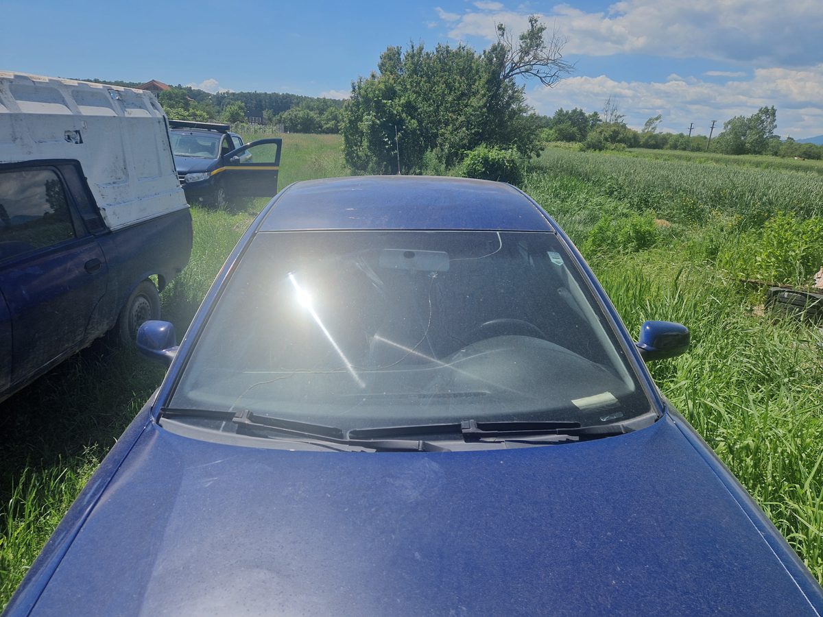 Miniatură 7