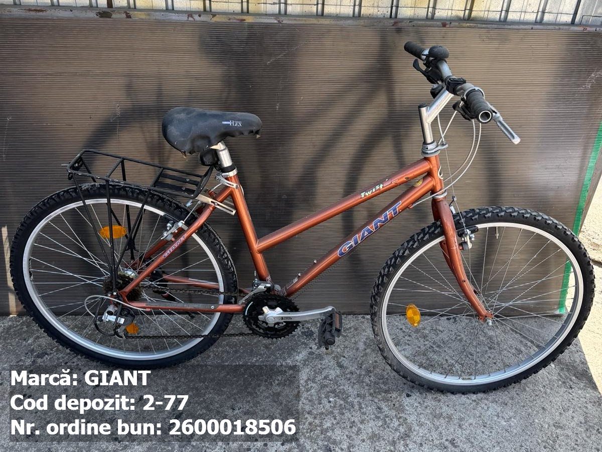 Bicicleta- Giant 1