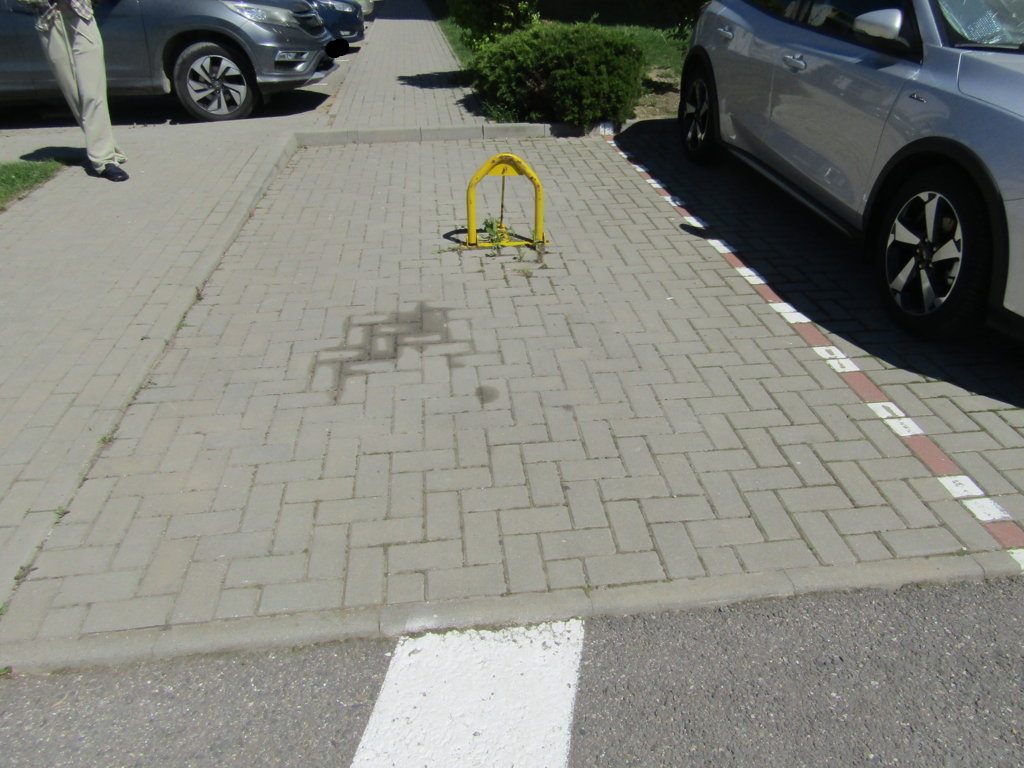Miniatură 2