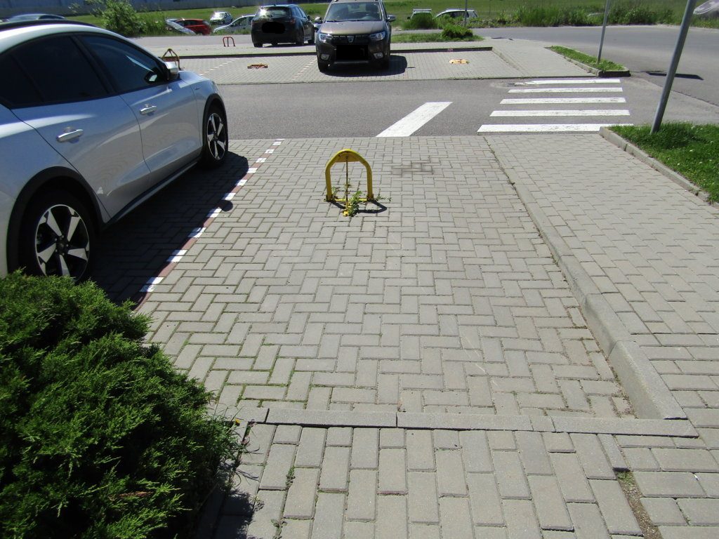 Miniatură 3