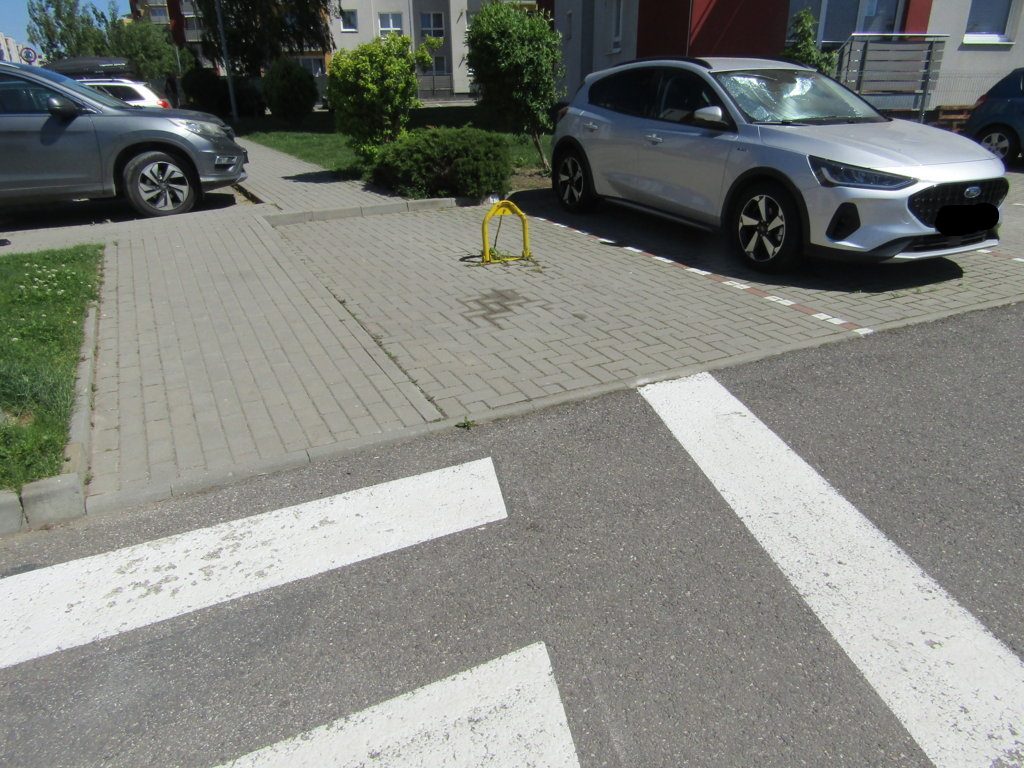 Miniatură 4
