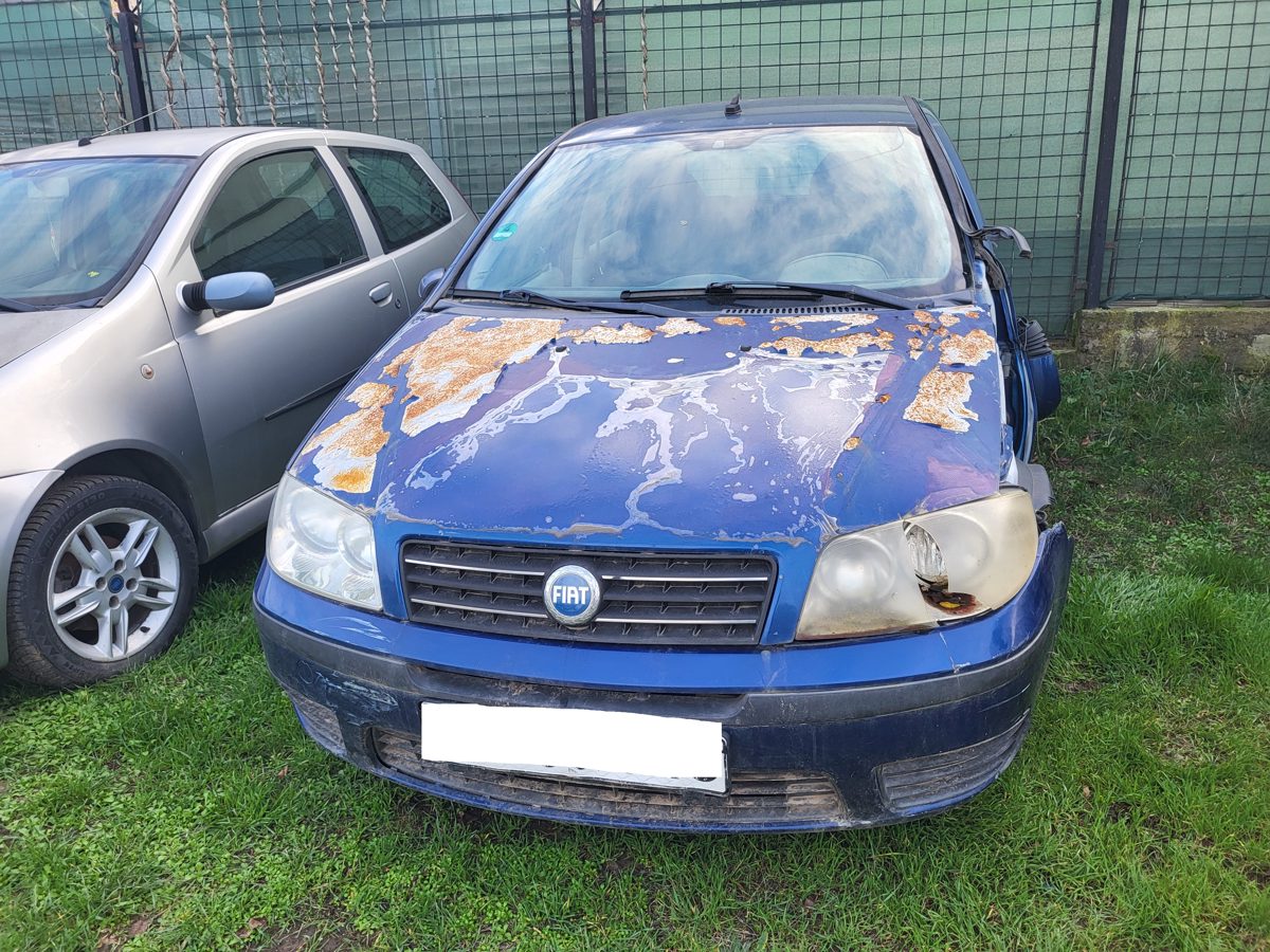 Miniatură 3