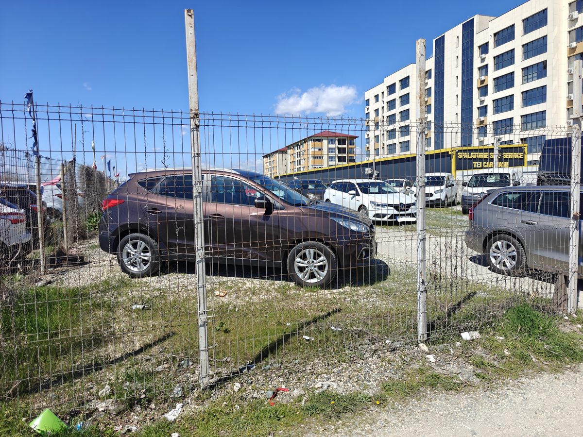 Miniatură 5