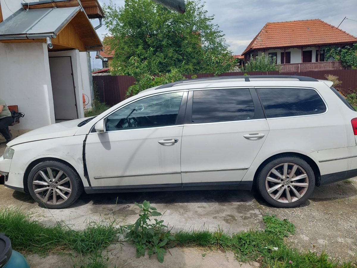 Miniatură 3